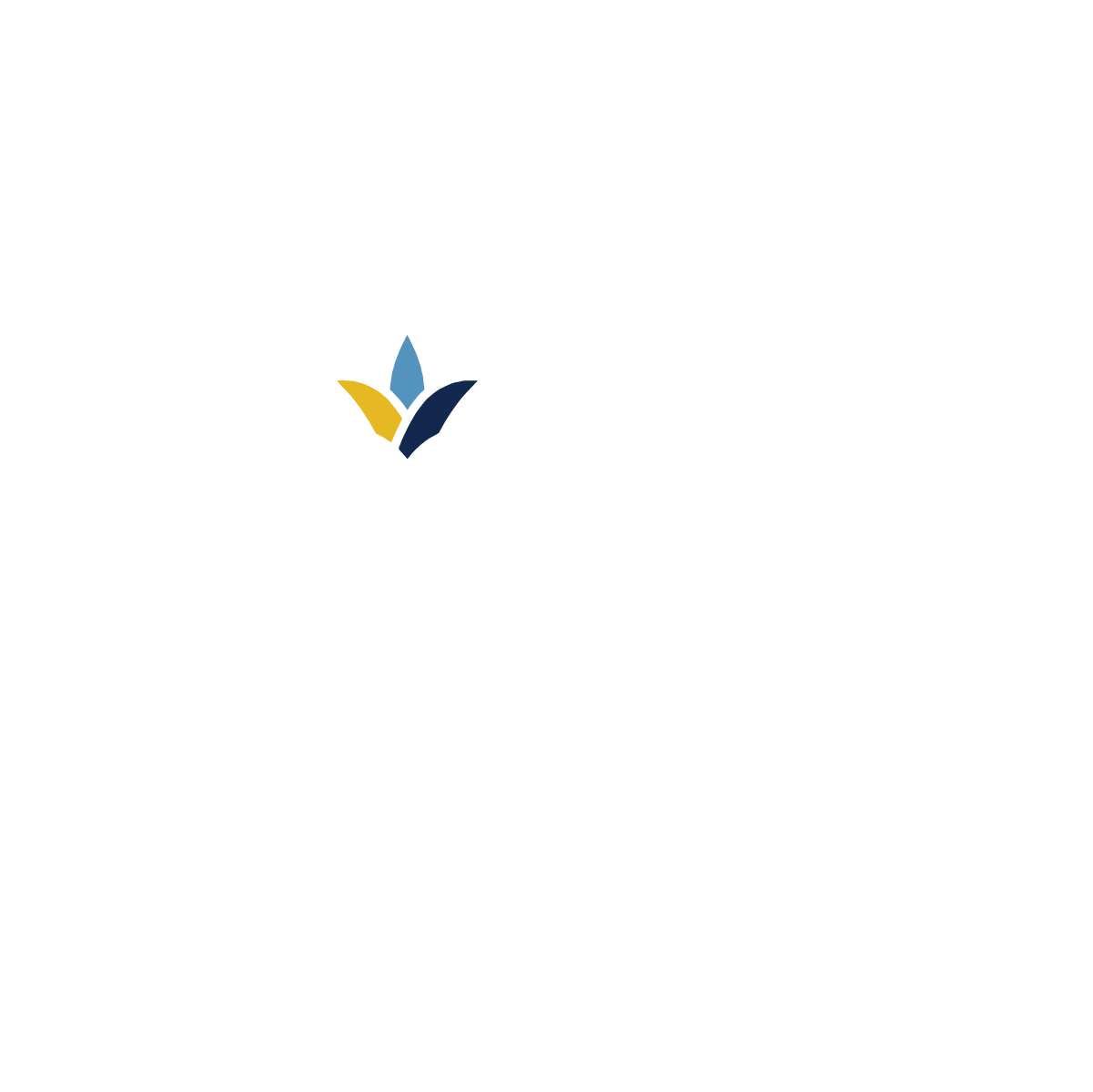 DH Co Logo Light